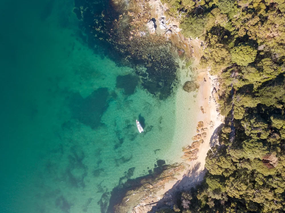 Reef beach in Manly